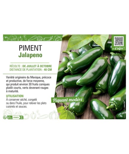 PIMENT JALAPENO