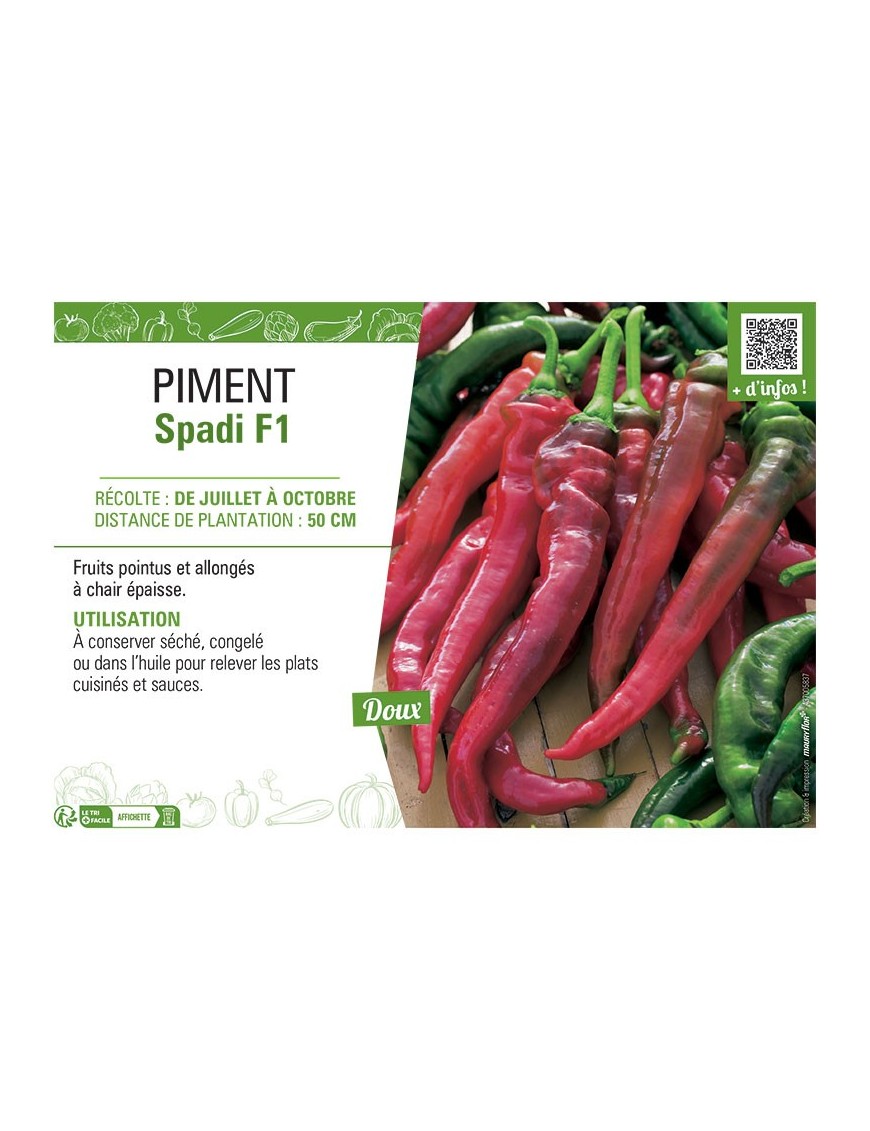 PIMENT SPADI F1