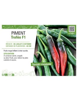 PIMENT TROFEO F1
