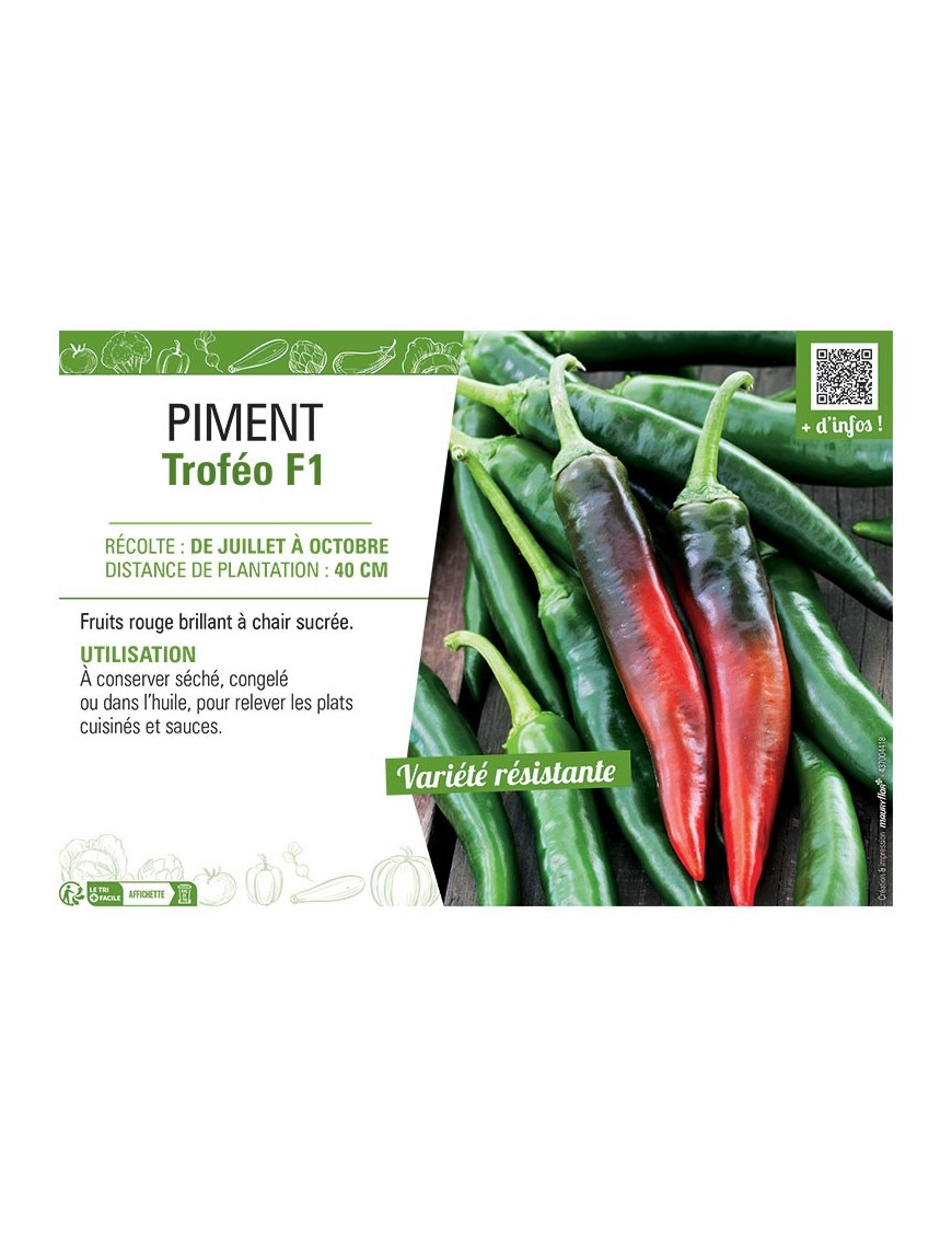 PIMENT TROFEO F1