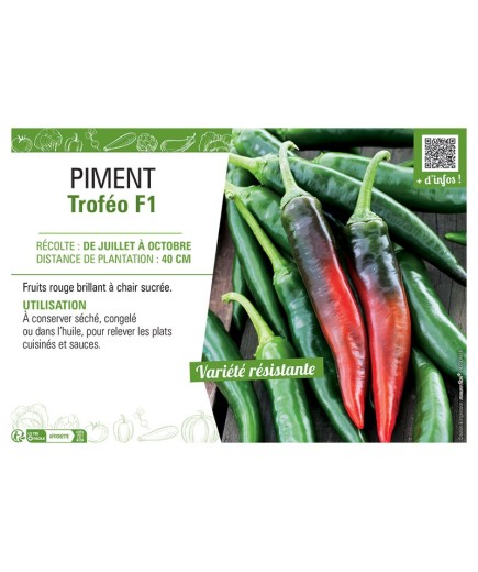 PIMENT TROFEO F1