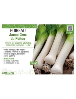 POIREAU JAUNE GROS DU POITOU