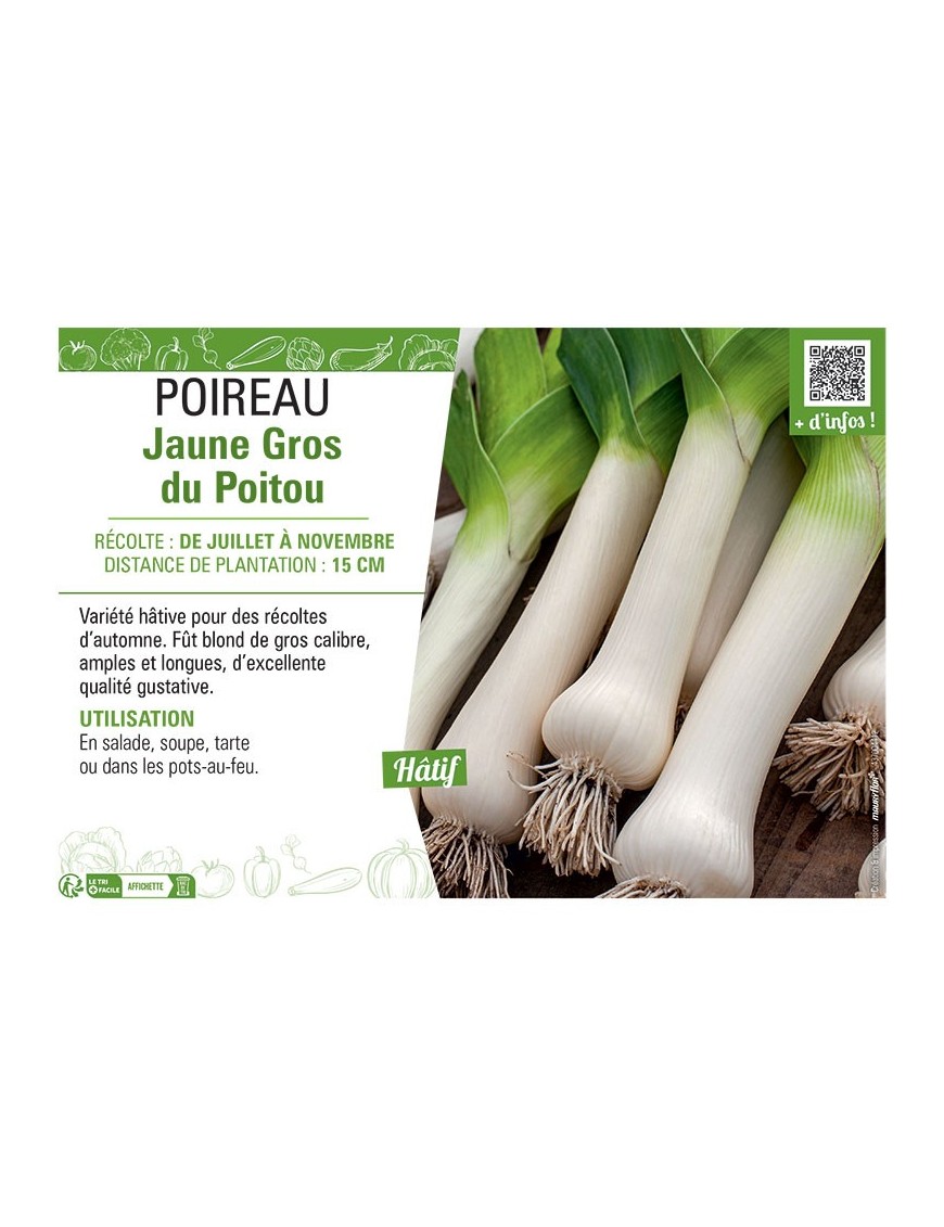 POIREAU JAUNE GROS DU POITOU