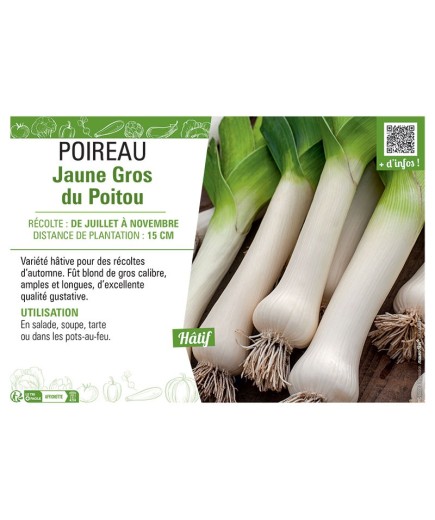POIREAU JAUNE GROS DU POITOU