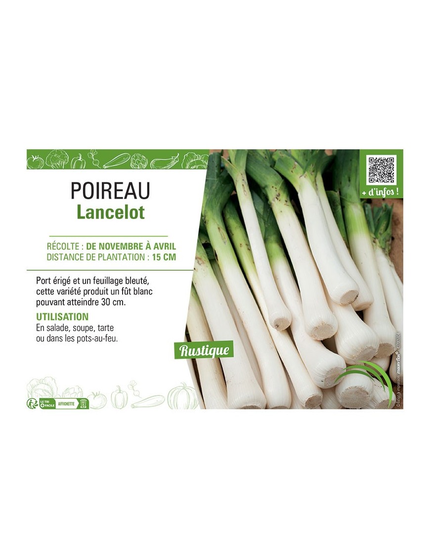 POIREAU LANCELOT