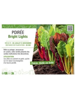 POIREE BRIGHT LIGHTS