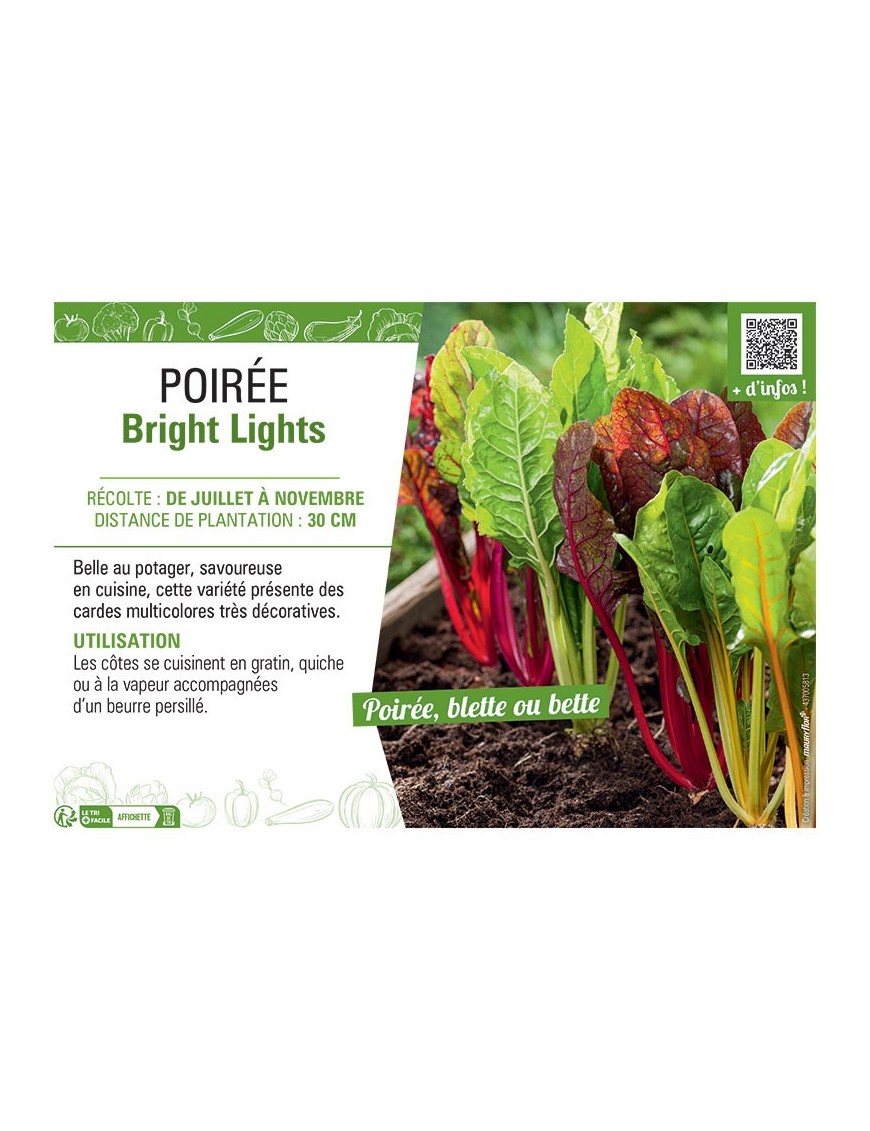 POIREE BRIGHT LIGHTS