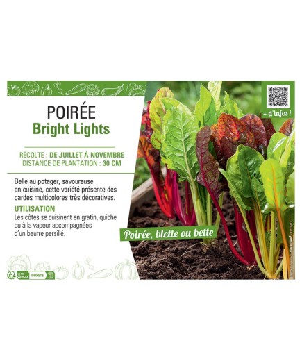 POIREE BRIGHT LIGHTS