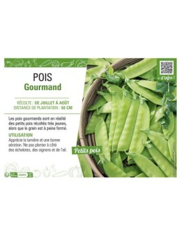 POIS GOURMAND