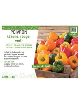 POIVRON (jaune, rouge, vert)