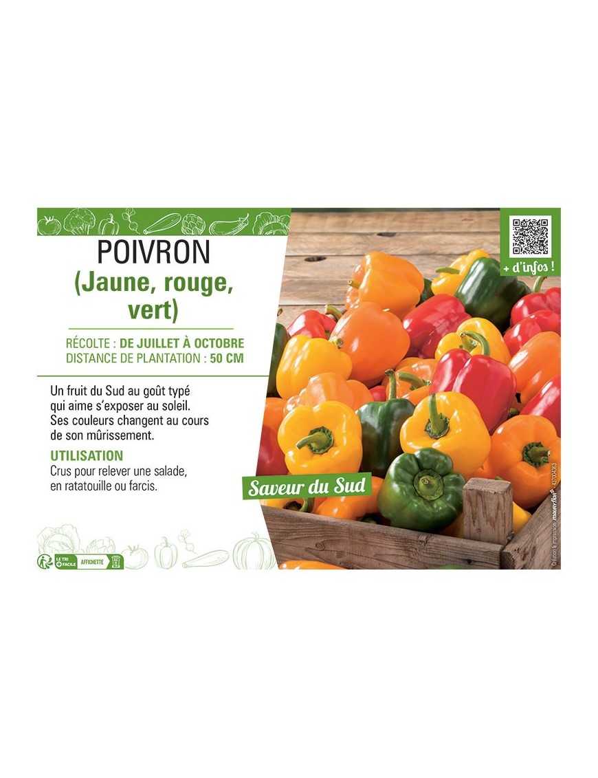 POIVRON (jaune, rouge, vert)