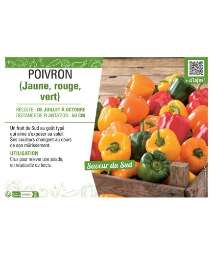 POIVRON (jaune, rouge, vert)