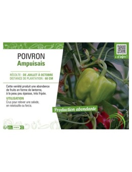 POIVRON AMPUISAIS