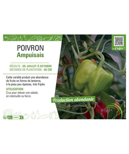 POIVRON AMPUISAIS