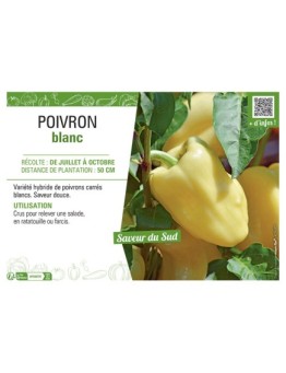 POIVRON BLANC