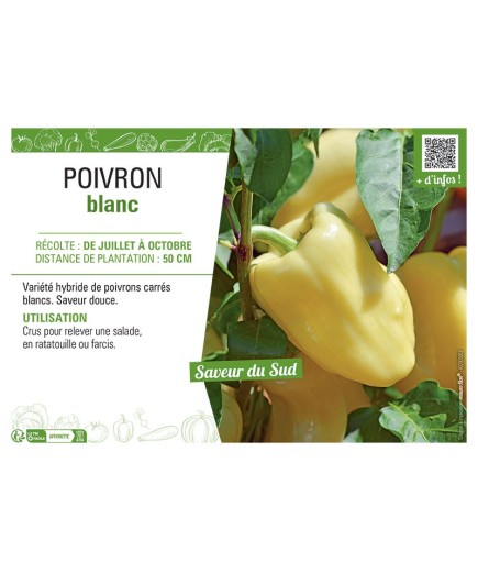 POIVRON BLANC
