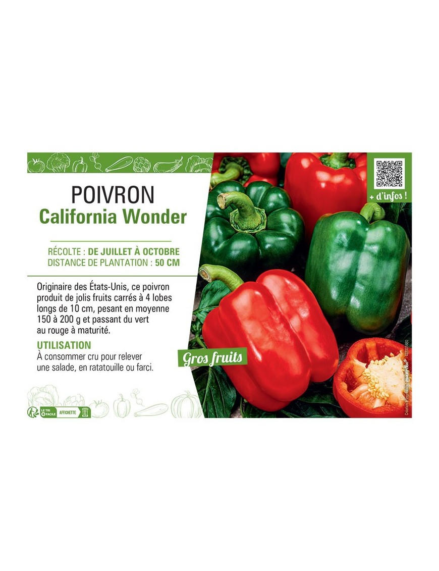 POIVRON CALIFORNIA WONDER