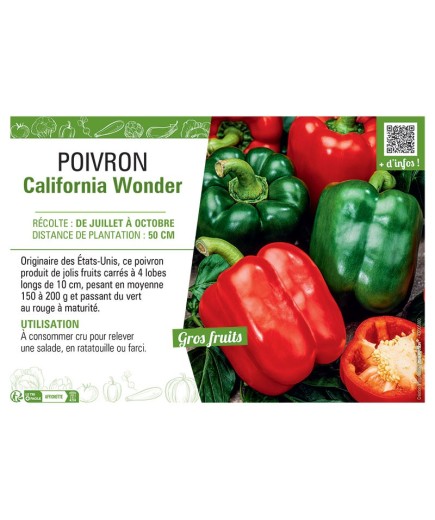 POIVRON CALIFORNIA WONDER