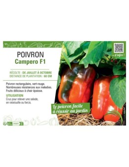 POIVRON CAMPERO F1