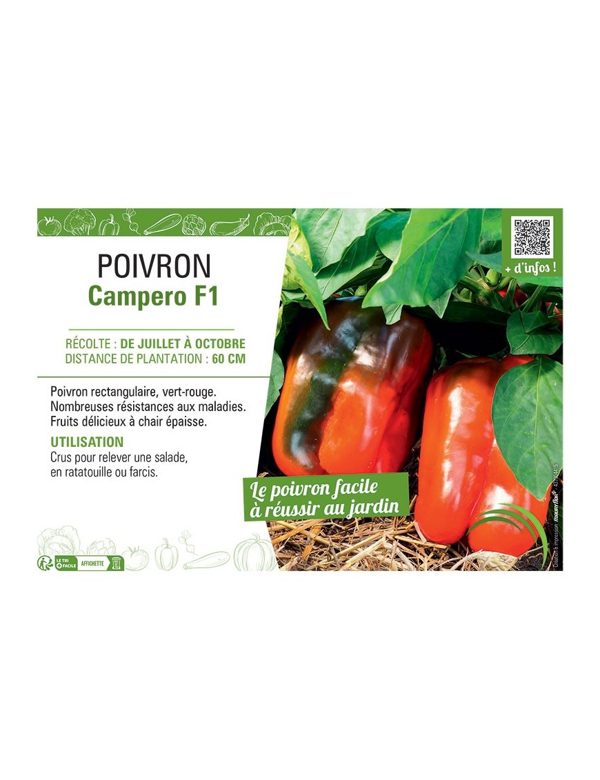 POIVRON CAMPERO F1
