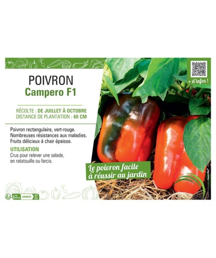 POIVRON CAMPERO F1