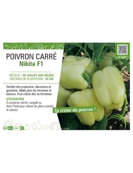 POIVRON CARRE NIKITA F1