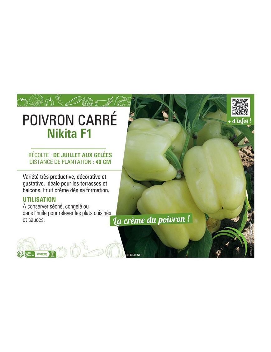 POIVRON CARRE NIKITA F1