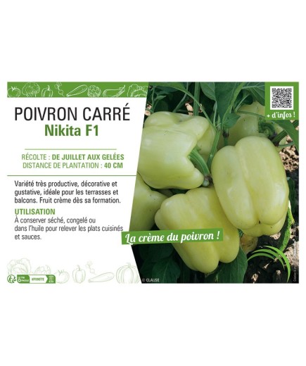 POIVRON CARRE NIKITA F1