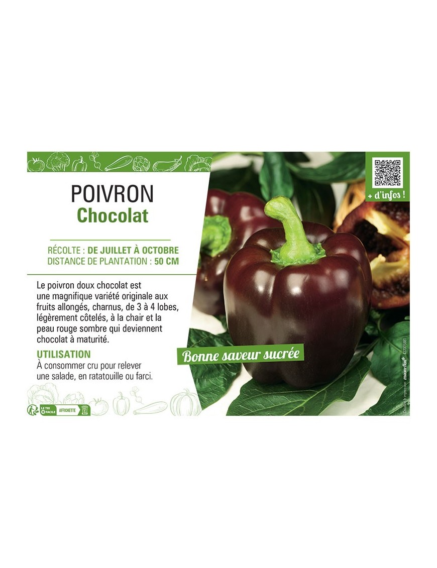 POIVRON CHOCOLAT