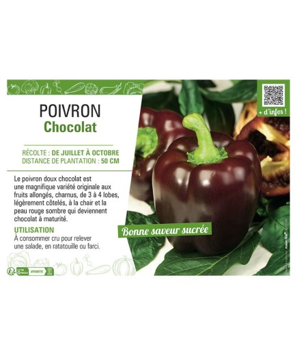 POIVRON CHOCOLAT
