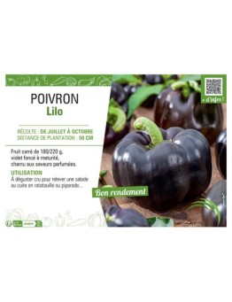 POIVRON LILO