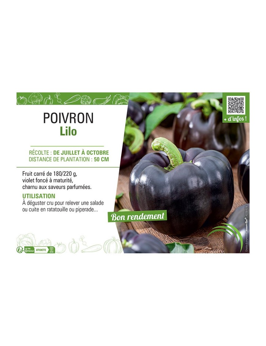 POIVRON LILO