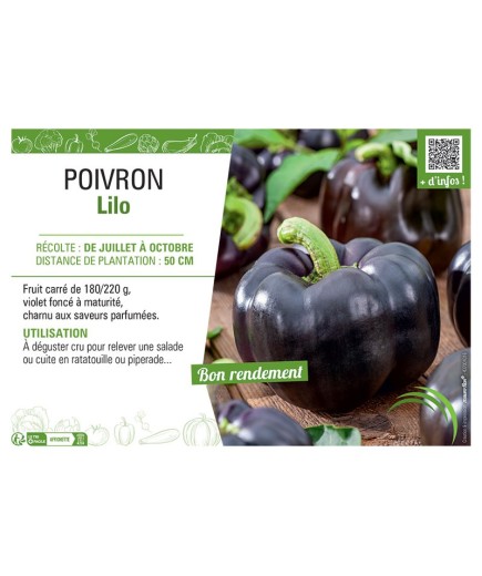 POIVRON LILO