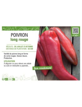 POIVRON LONG ROUGE