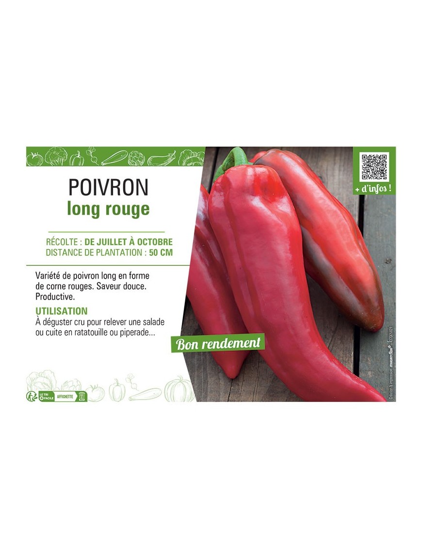 POIVRON LONG ROUGE