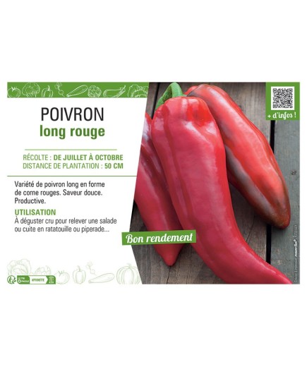 POIVRON LONG ROUGE