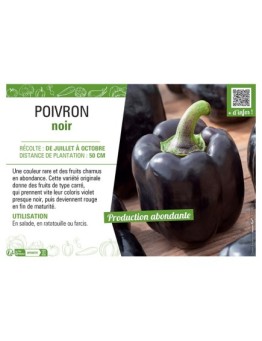 POIVRON NOIR