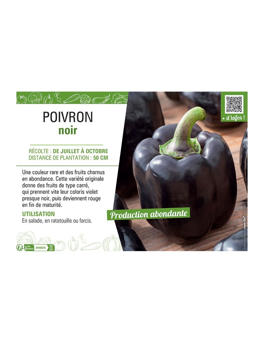 POIVRON NOIR