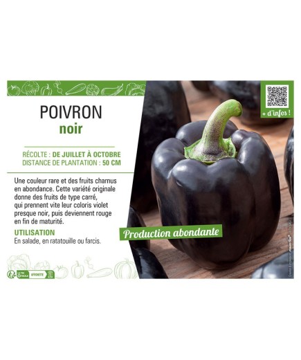 POIVRON NOIR