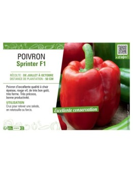 POIVRON SPRINTER F1