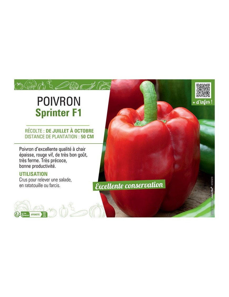 POIVRON SPRINTER F1