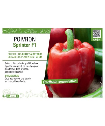 POIVRON SPRINTER F1