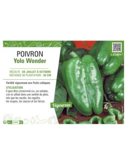 POIVRON YOLO WONDER