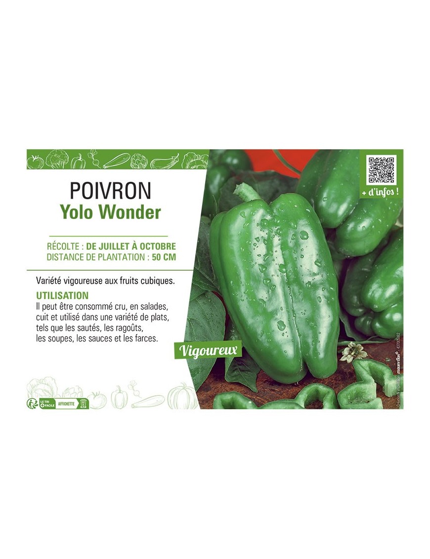POIVRON YOLO WONDER
