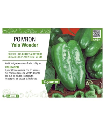 POIVRON YOLO WONDER