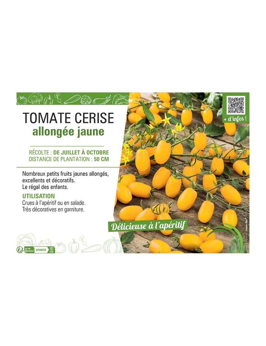 TOMATE CERISE ALLONGEE JAUNE
