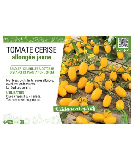 TOMATE CERISE ALLONGEE JAUNE