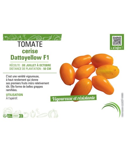 TOMATE CERISE DATTOYELLOW F1