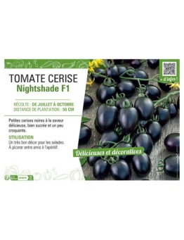 TOMATE CERISE NIGHTSHADE F1