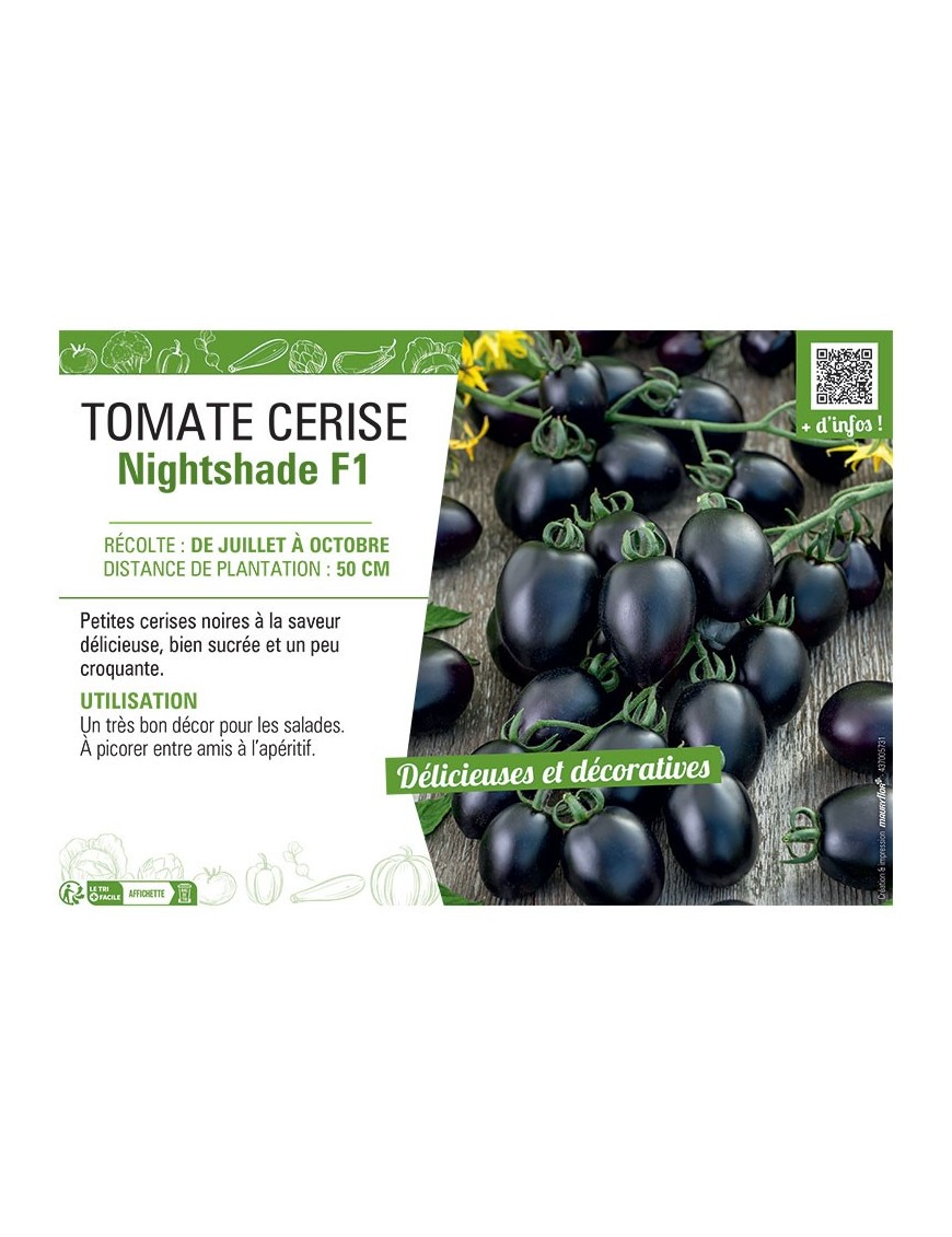 TOMATE CERISE NIGHTSHADE F1